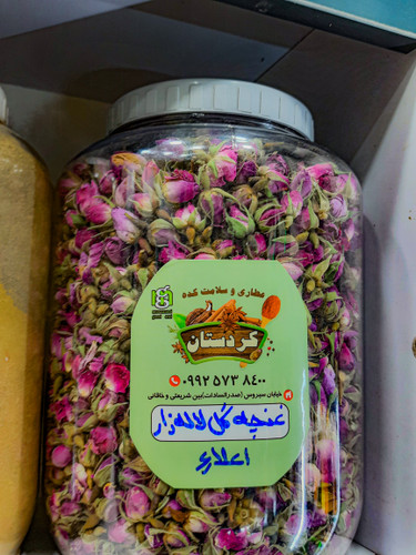 غنچه گل محمدی لاله زار