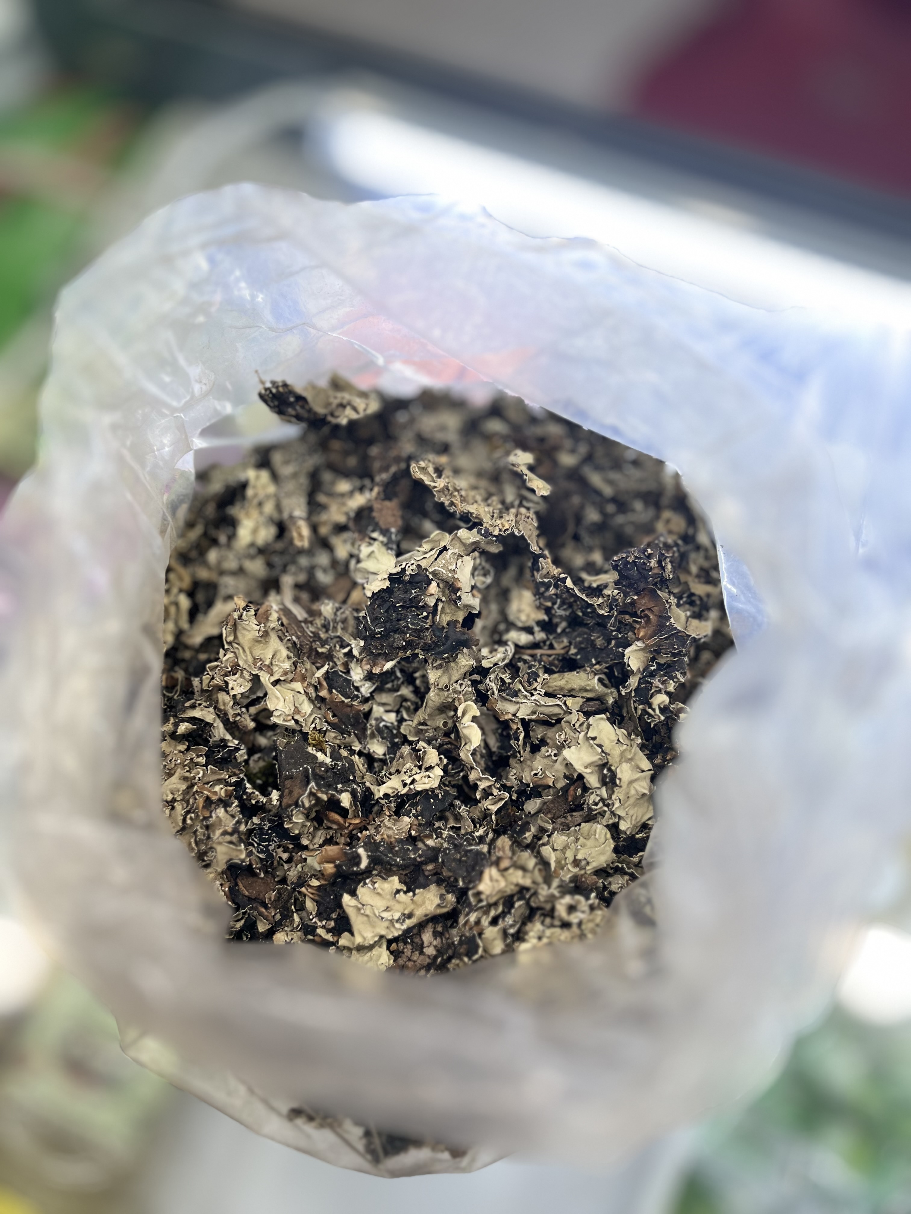بخور پر